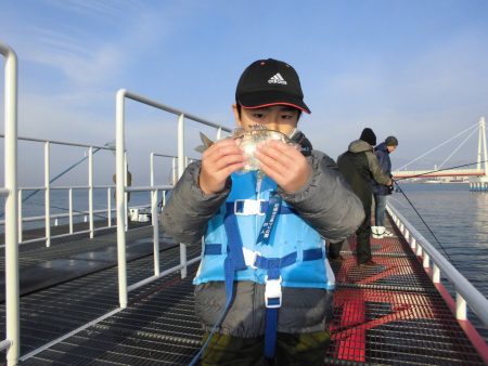 尼崎市立魚つり公園 釣果