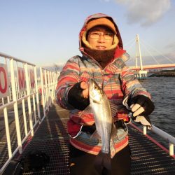 尼崎市立魚つり公園 釣果