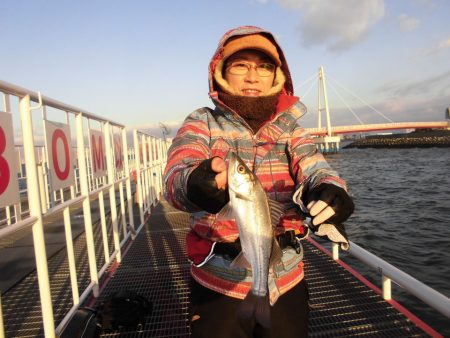 尼崎市立魚つり公園 釣果