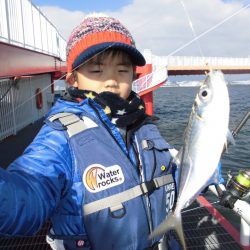 尼崎市立魚つり公園 釣果