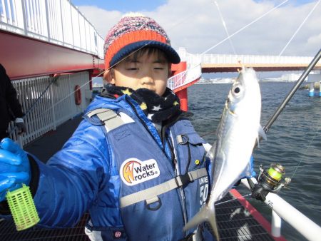 尼崎市立魚つり公園 釣果
