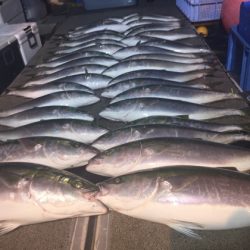 幸風（さちかぜ） 釣果