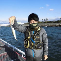 尼崎市立魚つり公園 釣果