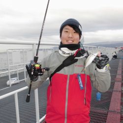 尼崎市立魚つり公園 釣果