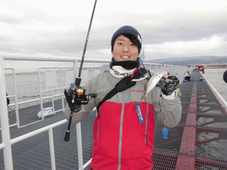 尼崎市立魚つり公園 釣果