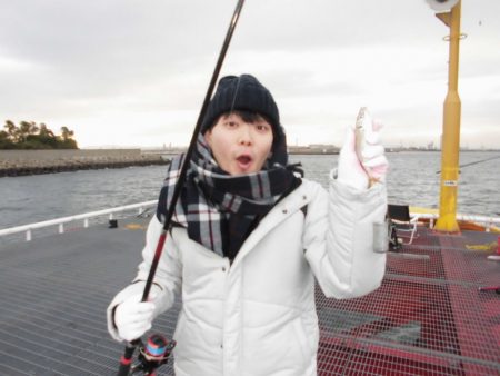 尼崎市立魚つり公園 釣果