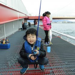 尼崎市立魚つり公園 釣果
