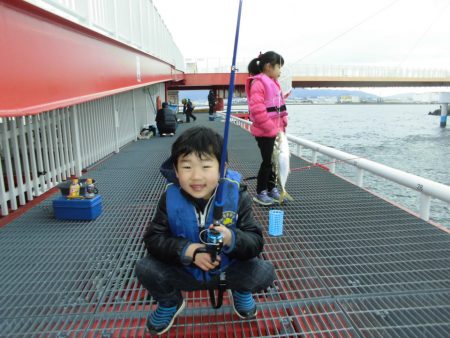 尼崎市立魚つり公園 釣果