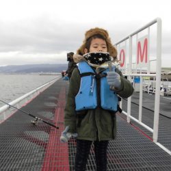 尼崎市立魚つり公園 釣果