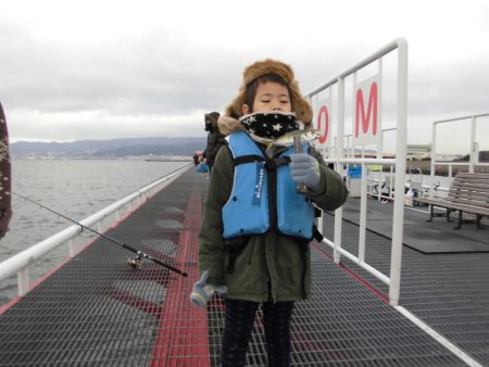 尼崎市立魚つり公園 釣果