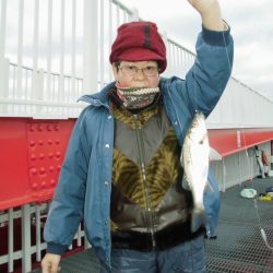 尼崎市立魚つり公園 釣果