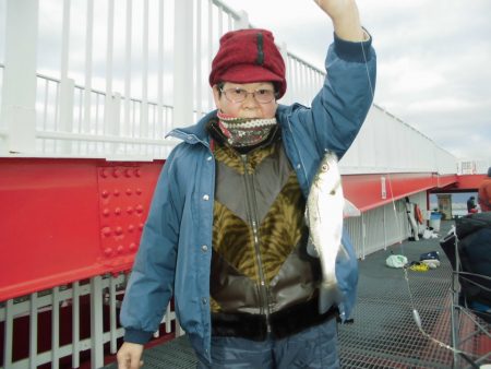 尼崎市立魚つり公園 釣果