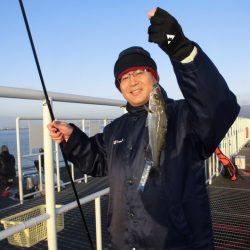 尼崎市立魚つり公園 釣果