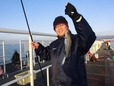 尼崎市立魚つり公園 釣果
