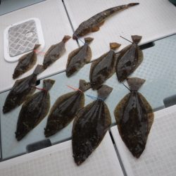 遊漁船 幸友丸 釣果