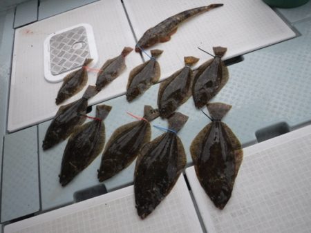 遊漁船 幸友丸 釣果