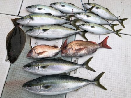 ふじしめ丸 釣果