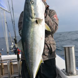 ジギング船 BLUEWATER 釣果