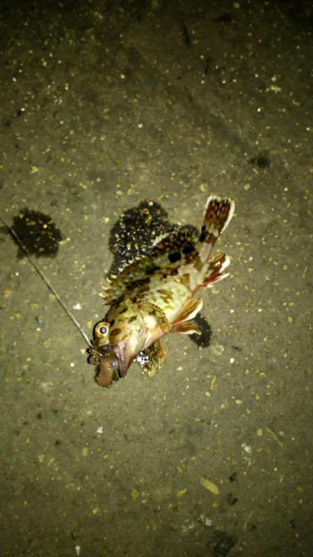 ちょい投げ釣り