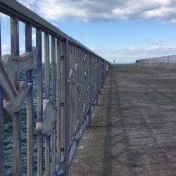 誰もいない・・