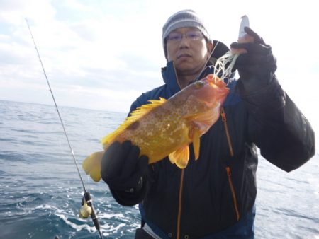 真祐丸 (しんゆうまる) 釣果