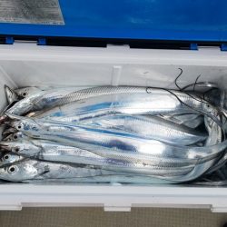 遊漁船　ニライカナイ 釣果