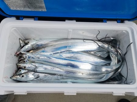 遊漁船　ニライカナイ 釣果