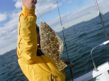 遊漁船 幸友丸 釣果