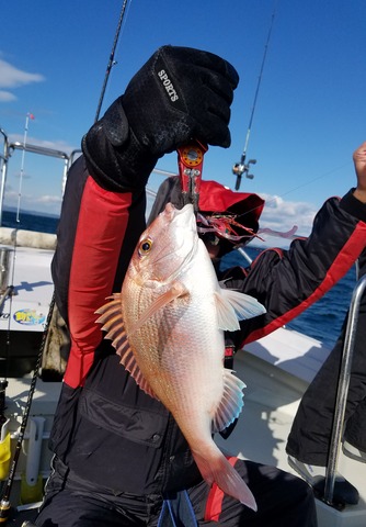 遊漁船　ニライカナイ 釣果
