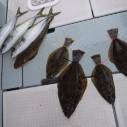 遊漁船 幸友丸 釣果