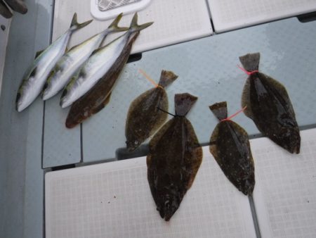 遊漁船 幸友丸 釣果