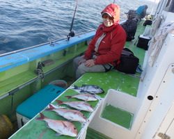 久里浜黒川本家 釣果