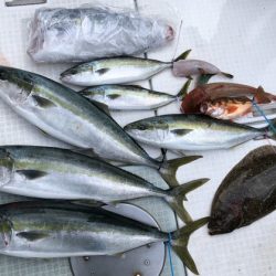 ふじしめ丸 釣果