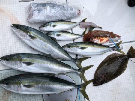 ふじしめ丸 釣果