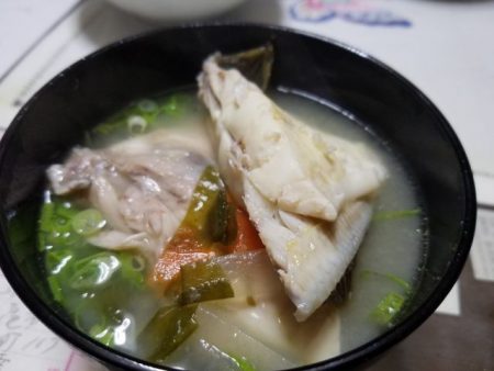 Magic（マジック） 釣果