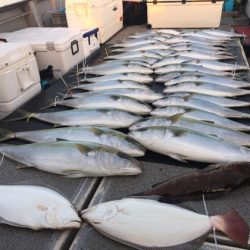 幸風（さちかぜ） 釣果