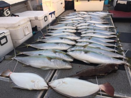 幸風（さちかぜ） 釣果