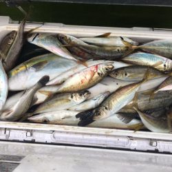 深川 吉野屋 釣果