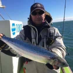 深川 吉野屋 釣果