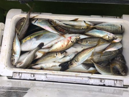 深川 吉野屋 釣果