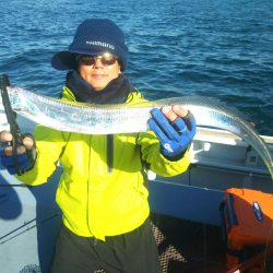 深川 吉野屋 釣果