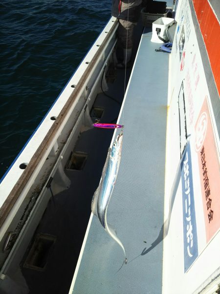 深川 吉野屋 釣果