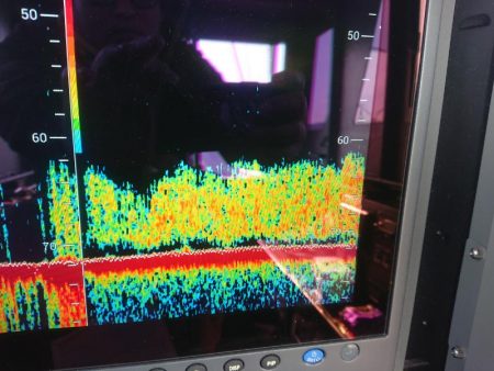 深川 吉野屋 釣果