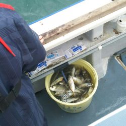 深川 吉野屋 釣果