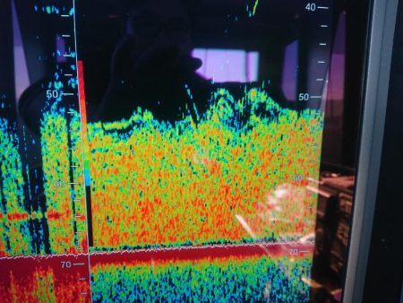 深川 吉野屋 釣果