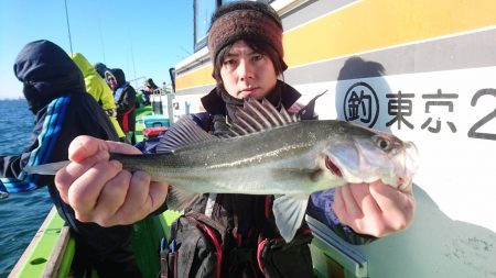 深川 吉野屋 釣果