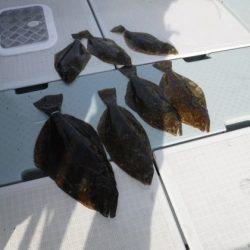 遊漁船 幸友丸 釣果