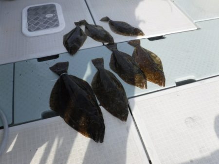 遊漁船 幸友丸 釣果