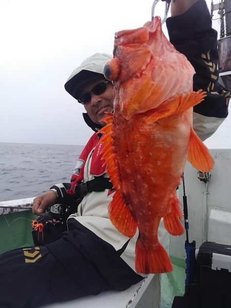 遊漁船 新鋭丸 釣果