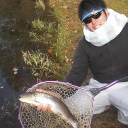 高萩ふれあいの里フィッシングエリア 釣果